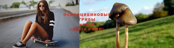 сатива Балахна
