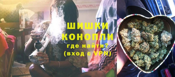 сатива Балахна