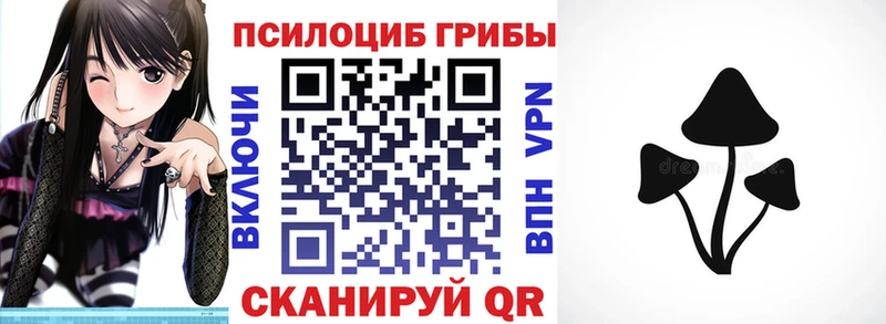 Псилоцибиновые грибы GOLDEN TEACHER  где купить наркотик  Радужный 