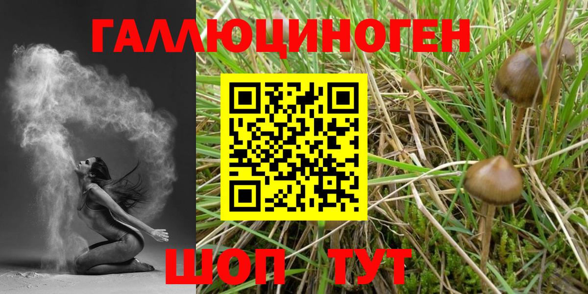 Псилоцибиновые грибы GOLDEN TEACHER Радужный