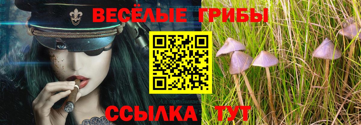 Псилоцибиновые грибы Psilocybine cubensis  Вход с VPN  Радужный 